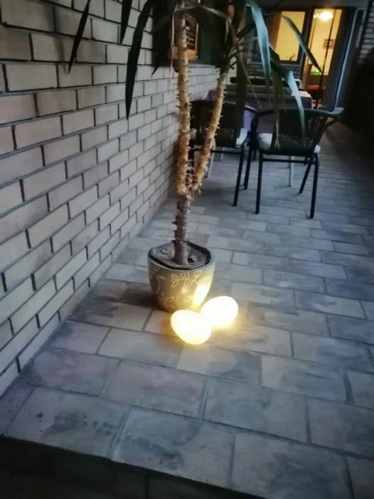 Citadela Hotell Sombor Eksteriør bilde